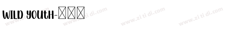 Wild youth字体转换
